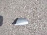 1G6DE5EY7B0****** Wrecked 2011 Cadillac CTS in Texas State