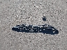 1GNERGKW6JJ****** Wrecked 2018 Chevrolet Traverse in Ohio State