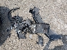 JA4AP3AU3JU****** Destrozados 2018 Mitsubishi Outlander en Estado de Pennsylvania