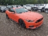 1FA6P8TH3G5****** Salvage and Wrecked 2016 Ford Mustang in Knoxville