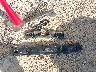 JF2SJAAC4GG****** Destrozados 2016 Subaru Forester en Estado de Wisconsin