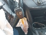 2T3RFREV6GW****** Salvamento 2016 Toyota RAV4 en Estado de Oklahoma