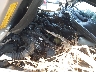 JTHBK262372****** Repairable 2007 Lexus IS in Ace Perris