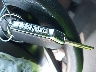 KNDJ23AU7M7****** Salvage 2021 Kia Soul in Ohio State