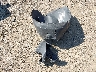 KNDJ23AU7M7****** Wrecked 2021 Kia Soul in Ohio State