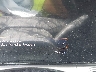 KL77LHE29RC****** Salvamento 2024 Chevrolet Trax