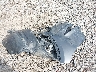 JM3KFBEY1K0****** Wrecked 2019 Mazda CX-5 in Pennsylvania State