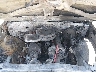 2GCGK39N5K1****** Reparables 1989 Chevrolet C/K en Eugene