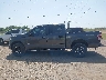 1FTEW1EP7FF****** Salvage 2015 Ford F-150