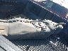1FTEW1EP7FF****** Wrecked 2015 Ford F-150 in Texas State