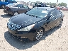 5NPEC4AB4CH****** Used and Repairable 2012 Hyundai Sonata in Indianapolis