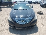 5NPEC4AB4CH****** Salvage and Repairable 2012 Hyundai Sonata in Indiana State