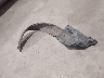 2HGEJ8640VH****** Salvage 1997 Honda Civic in North Carolina State