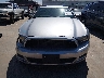 1ZVBP8AM4E5****** Repairable 2014 Ford Mustang