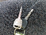 1GTEC14W7YE****** Salvamento 2000 GMC Sierra 1500 en Estado de Kentucky