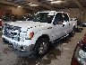 1FTFW1ET0DK****** Usados y Reparables 2013 Ford F-150 en Chattanooga