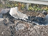 5N1AZ2AS4LN****** Wrecked 2020 Nissan Murano in North Carolina State
