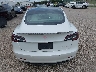 5YJ3E1EC4MF****** Wrecked 2021 Tesla Model 3