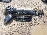 2C4RDGEG2JR****** Wrecked 2018 Dodge Grand Caravan in Ohio State