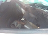 KM8K3CA3XPU****** Destrozados 2023 Hyundai Kona en Scranton