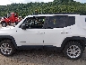 ZACNJDB12PP****** Salvamento 2023 Jeep Renegade
