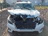 JF2SKAUC0MH****** Salvage 2021 Subaru Forester in New York State