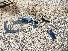JF2GPAVC3EH****** Wrecked 2014 Subaru XV Сrosstrek in Ohio State