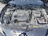 1N4AA6AP6HC****** Reparables 2017 Nissan Maxima en Saint Louis