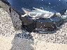 1N4AA6AP6HC****** Salvamento y Reparables 2017 Nissan Maxima en Estado de Illinois