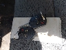 1FTFW1EF8BF****** Salvage 2011 Ford F-150 in Texas State