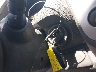 1N6AD0ER7FN****** Salvamento 2015 Nissan Frontier en Estado de Florida