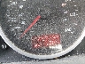 WVGZM77L16D****** Salvage 2006 Volkswagen Touareg