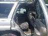 1GNDS13S242****** Destrozados 2004 Chevrolet Trailblazer en Lexington