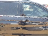 3VV3B7AX6MM****** Reparables 2021 Volkswagen Tiguan en Estado de Texas