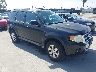 1FMCU94G59K****** Salvage and Wrecked 2009 Ford Escape in Los Angeles South