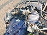5Y4AMK2EXPA****** Salvamento 2023 Yamaha Grizzly 700 en Rec Rides Online Exclusive