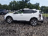 2T3WFREV7EW****** Salvamento 2014 Toyota RAV4