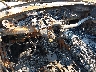 WDBEB28D3NB****** Salvage 1992 Mercedes-Benz 300 Series in Spokane