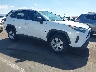 2T3H1RFV5PW****** Salvamento y Destrozados 2023 Toyota RAV4 en Phoenix