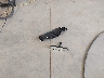 5N1DR3BC2RC****** Destrozados 2024 Nissan Pathfinder en Estado de Utah