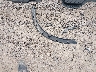 2HKRM4H77CH****** Wrecked 2012 Honda CR-V in Montana State