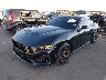 1FA6P8CF0R5****** Usados y Reparables 2024 Ford Mustang en Phoenix