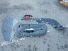 1FA6P8CF0R5****** Destrozados 2024 Ford Mustang en Estado de Arizona