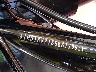 1HD1KVP16SB****** Reparables 2025 Harley-Davidson Road King Special en Rec Rides Online Exclusive