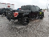 1FTPW14V89F****** Salvage and Wrecked 2009 Ford F-150 in Missouri State