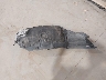 KMHFH4JG1FA****** Destrozados 2015 Hyundai Azera en Estado de Utah