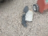 5FNYF4H59CB****** Destrozados 2012 Honda Pilot en Estado de Texas