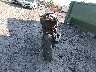 JKBZXJJ14TA****** Salvage and Repairable 2026 Kawasaki ZX636 in Ohio State