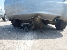 1HGFA16876L****** Used 2006 Honda Civic in Tennessee State