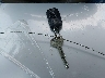 5TBDT44136S****** Salvage 2006 Toyota Tundra in Washington State